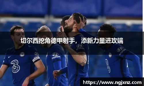 bsports官网入口