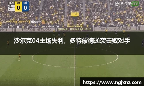 bsports官网入口