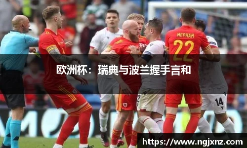 欧洲杯：瑞典与波兰握手言和